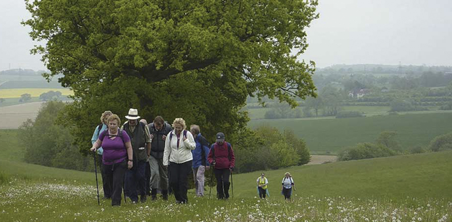 Suffolk Walking Festival